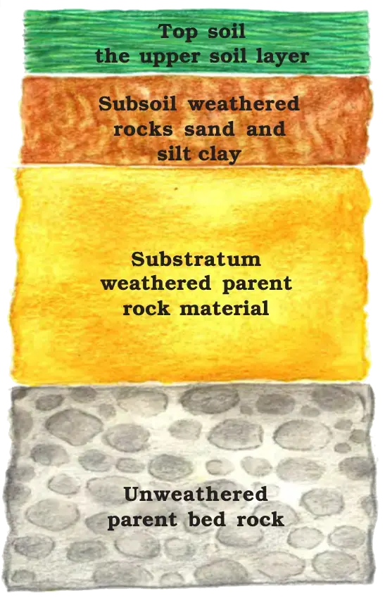 Diagram of soil profile