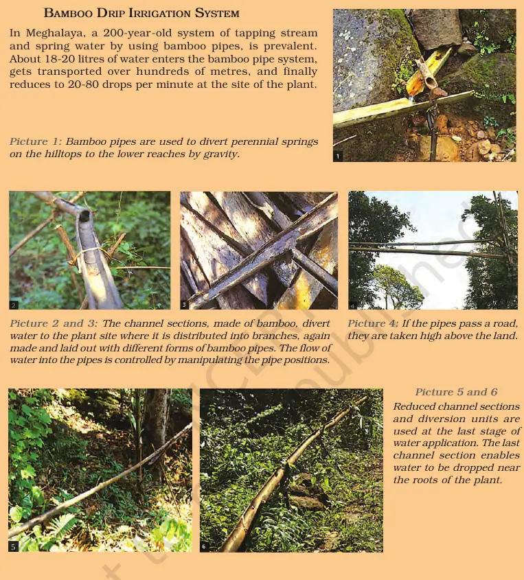 Image featuring the bamboo irrigation system of Meghalaya